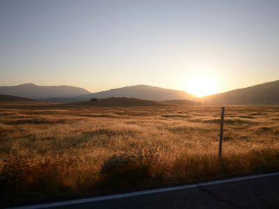 brown grass field near road during daytime