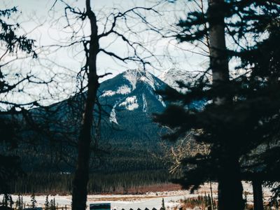 Mountain rises behind trees on a cloudy day.
