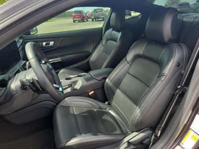 2024 Ford Mustang — detail view