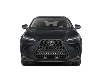 2024 Lexus NX — interior view