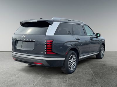 2026 Hyundai PALISADE — detail view