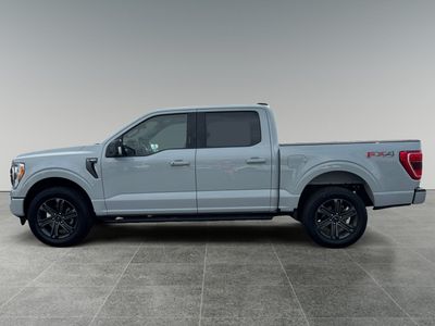 2023 Ford F-150 — rear three-quarter view