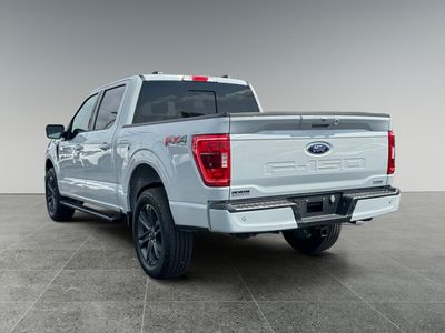 2023 Ford F-150 — interior view