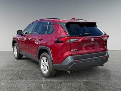 2019 Toyota RAV4 — interior view