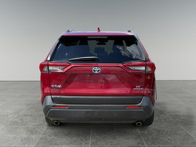 2019 Toyota RAV4 — detail view