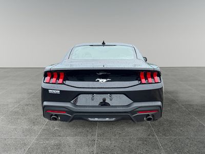 2026 Ford Mustang — detail view