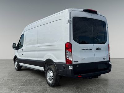 2026 Ford Transit Cargo Van — interior view