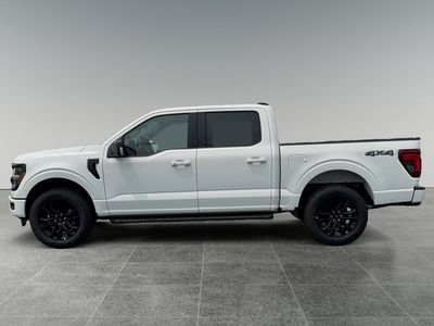 2026 Ford F-150 — rear three-quarter view