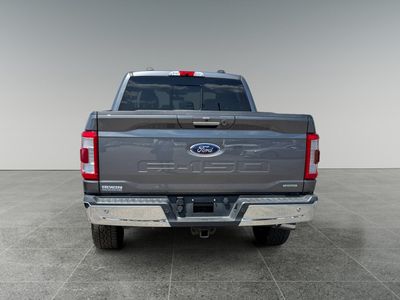 2021 Ford F-150 — detail view