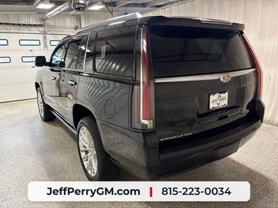 2020 Cadillac Escalade — detail view