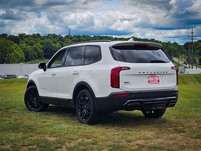 2022 Kia Telluride — detail view