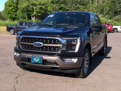 2021 Ford F-150 — rear three-quarter view
