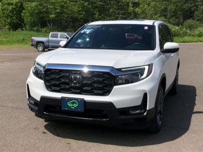 2022 Honda Passport — rear three-quarter view