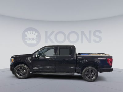 2023 Ford F-150 — side profile view