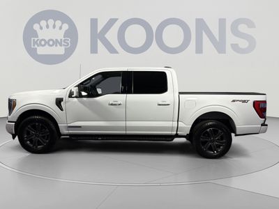 2023 Ford F-150 — side profile view