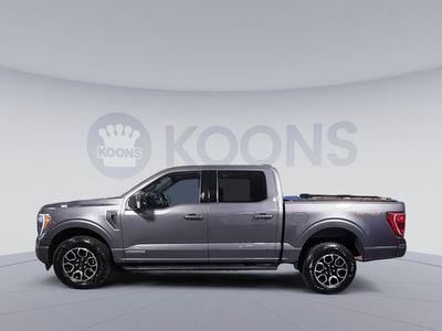 2022 Ford F-150 — side profile view