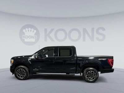 2023 Ford F-150 — side profile view
