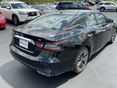 2023 Nissan Maxima — detail view