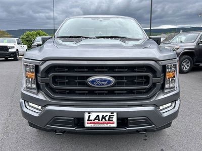 2023 Ford F-150 — rear three-quarter view