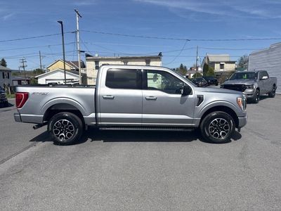 2023 Ford F-150 — interior view