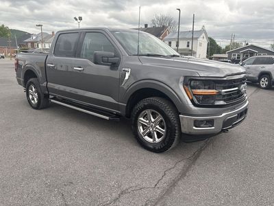 2025 Ford F-150 — side profile view