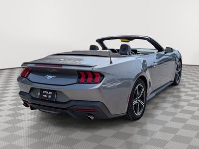 2024 Ford Mustang — detail view