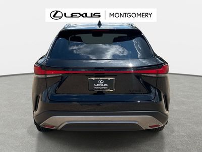 2026 Lexus RX — interior view