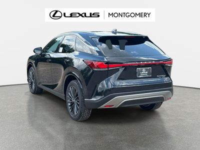 2026 Lexus RX — detail view