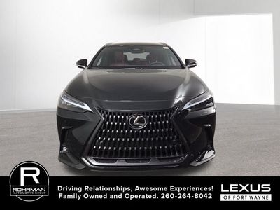 2026 Lexus NX — rear three-quarter view