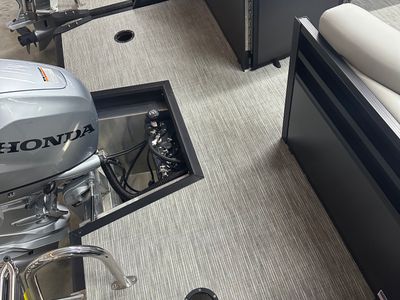 2025 VIAGGIO LAGO V 20U — photo 12 view