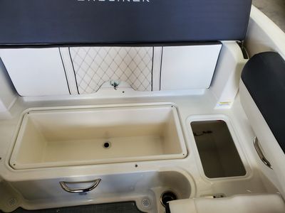 2023 BAYLINER DX 2050 (D20i) - Photo 31