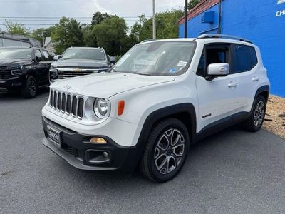 2015 Jeep Renegade — detail view