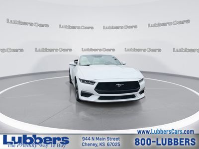 2024 Ford Mustang — rear three-quarter view