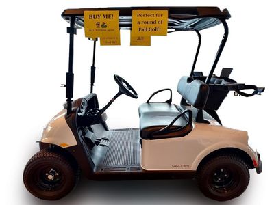 2023 VALOR E-Z-GO GOLF CART — interior view