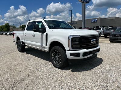 2025 Ford F-250 — side profile view