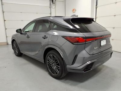2023 Lexus RX — detail view