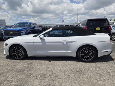 2021 Ford Mustang — detail view