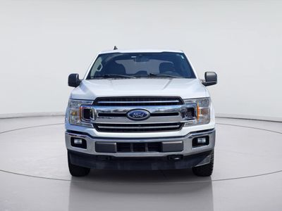 2019 Ford F-150 — side profile view