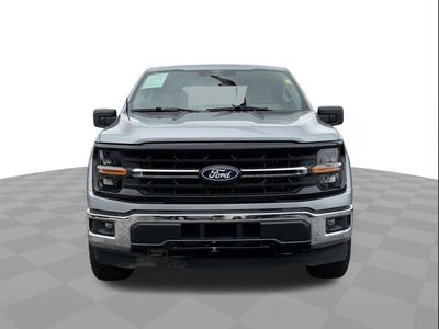 2025 Ford F-150 — side profile view