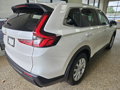 2026 Honda CR-V — side profile view