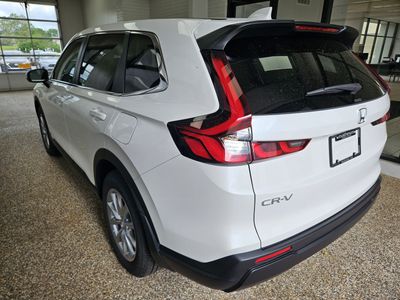 2026 Honda CR-V — interior view