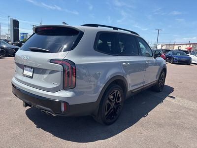 2024 Kia Telluride — detail view
