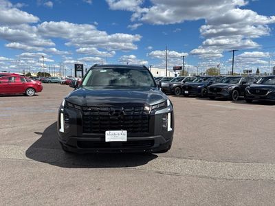 2023 Hyundai Palisade — side profile view