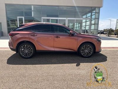 2024 Lexus RX — interior view