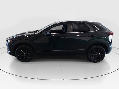 2025 Mazda CX-30 - Photo 7