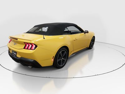 2024 Ford Mustang - Photo 7