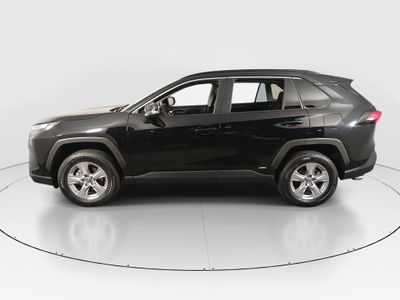 2025 Toyota RAV4 - Photo 4
