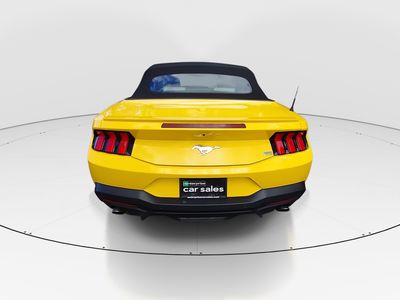 2024 Ford Mustang - Photo 6