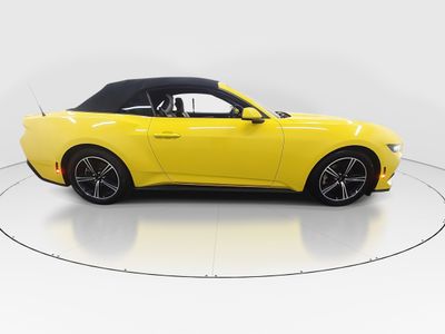 2024 Ford Mustang - Photo 8