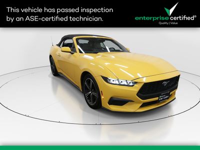 2024 Ford Mustang - Photo 1